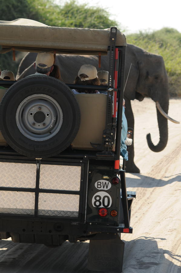 Ngoma Safari Lodge Kavimba ภายนอก รูปภาพ