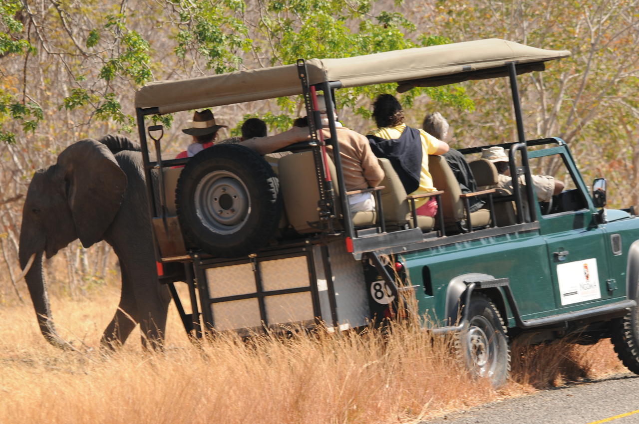 Ngoma Safari Lodge Kavimba ภายนอก รูปภาพ