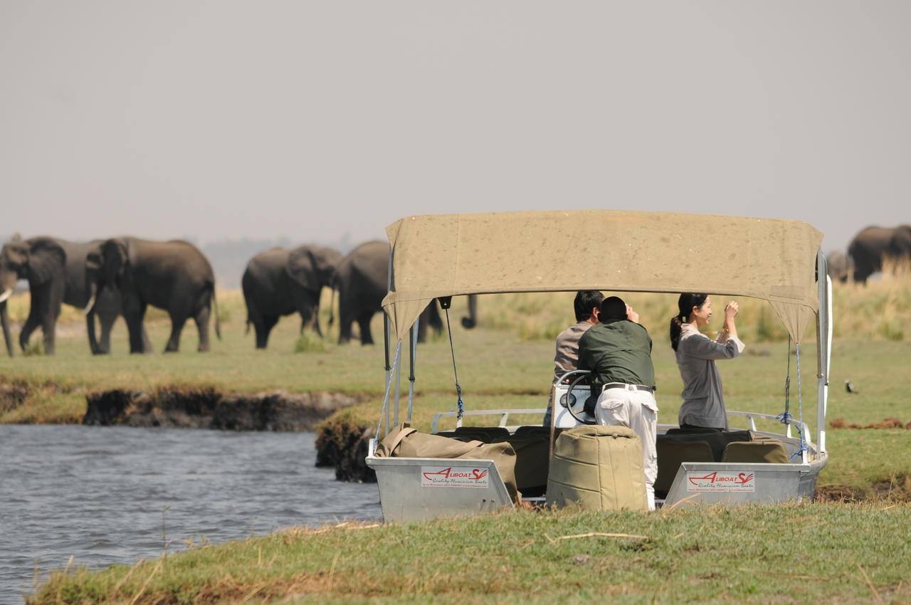 Ngoma Safari Lodge Kavimba ภายนอก รูปภาพ