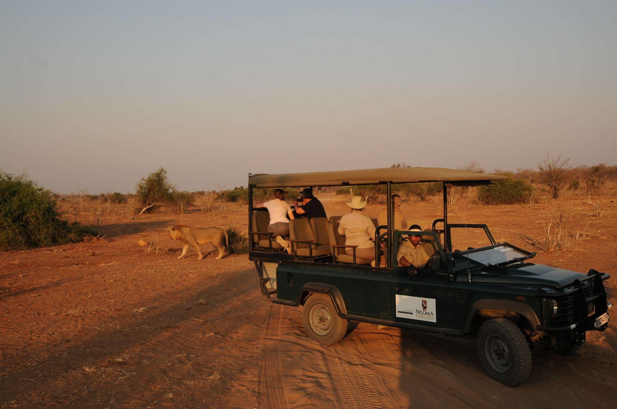 Ngoma Safari Lodge Kavimba ภายนอก รูปภาพ
