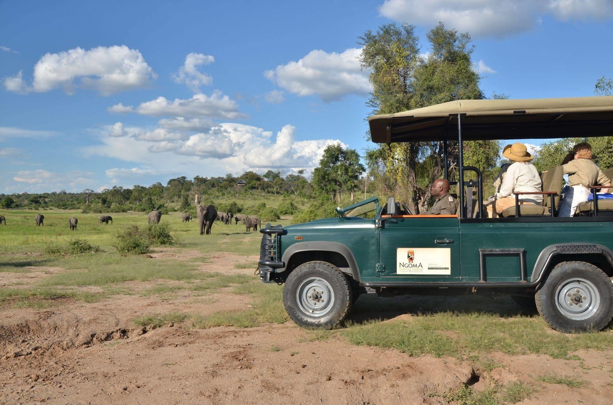 Ngoma Safari Lodge Kavimba ภายนอก รูปภาพ